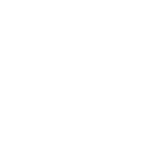 the griffin logo